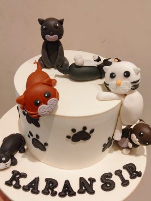 Customization Starts from 1 KG